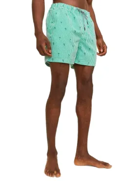 Bañador Jack&Jones Fiji rayas verdes regular de hombre